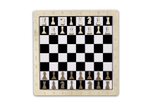 Настенная игра «2 в 1 Шашки + шахматы»