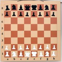 Демонстрационная ламинированная складная доска 80 см+комплект магнитных шахматных фигур