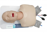 Тренажер для отработки практических навыков интубации ТПИ-1.01