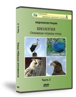DVD "Основные отряды птиц" 2 часть (учебный фильм)